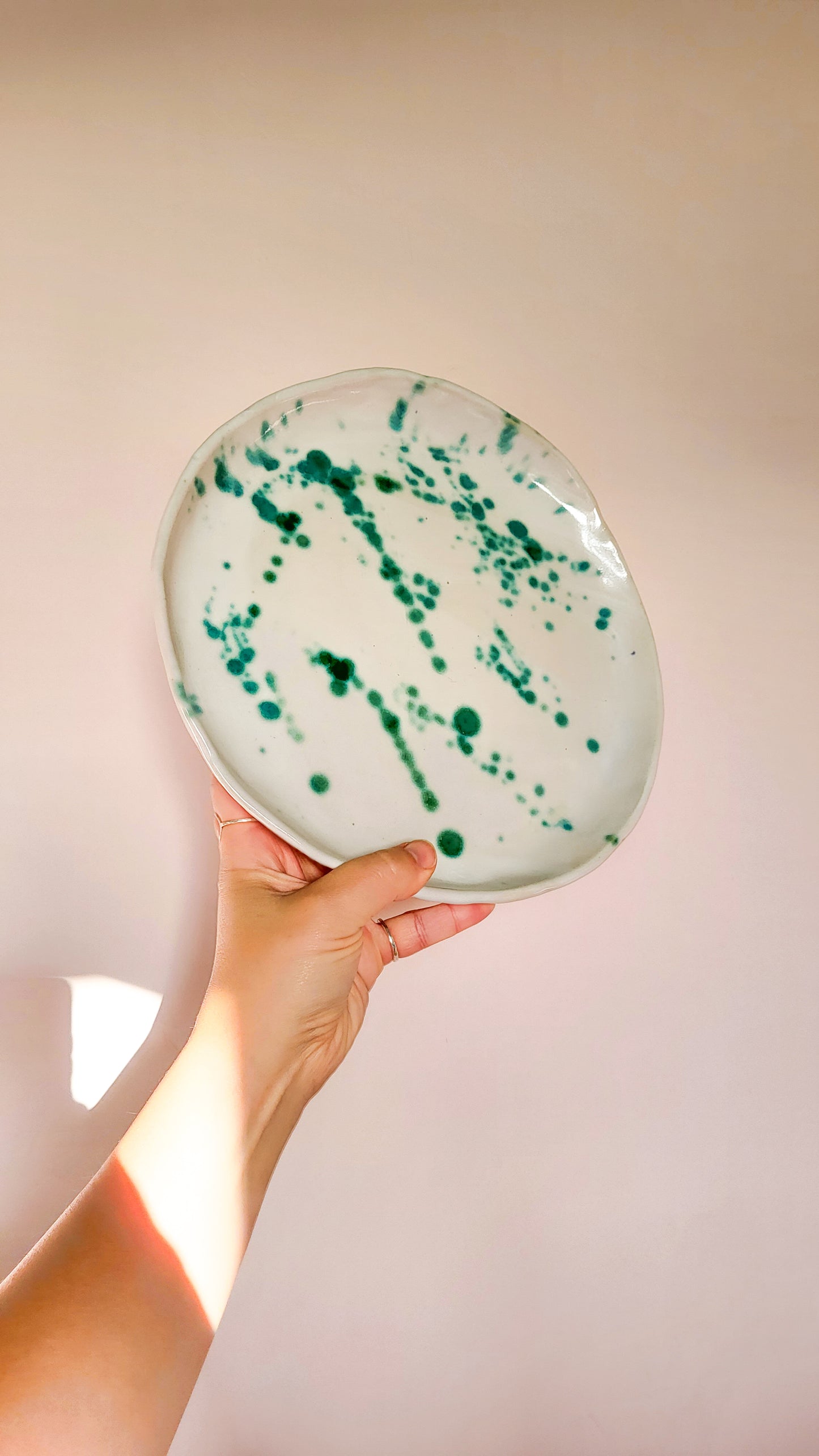 Splatter Plate