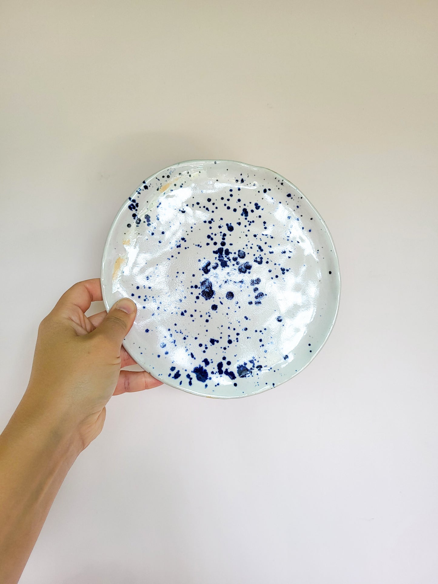 Splatter Plate