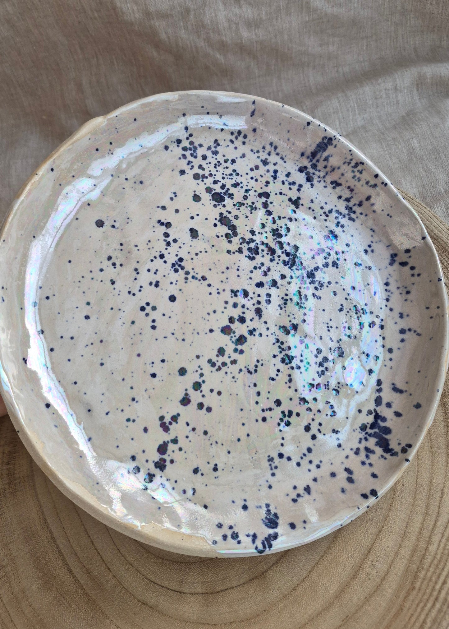 Splatter Plate